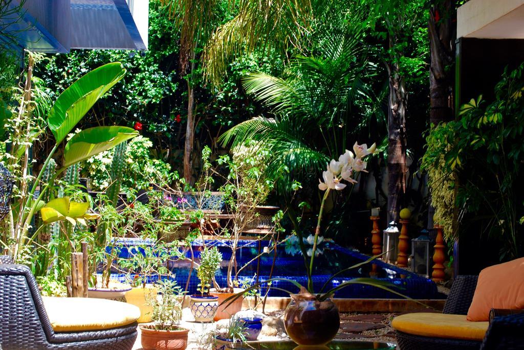 Dar Diafa Bed & Breakfast Casablanca Exterior photo
